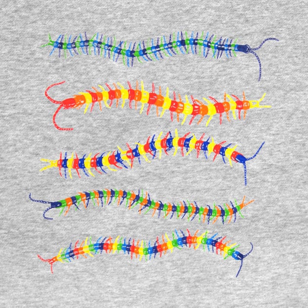 Colorwheel Centipede by RaLiz